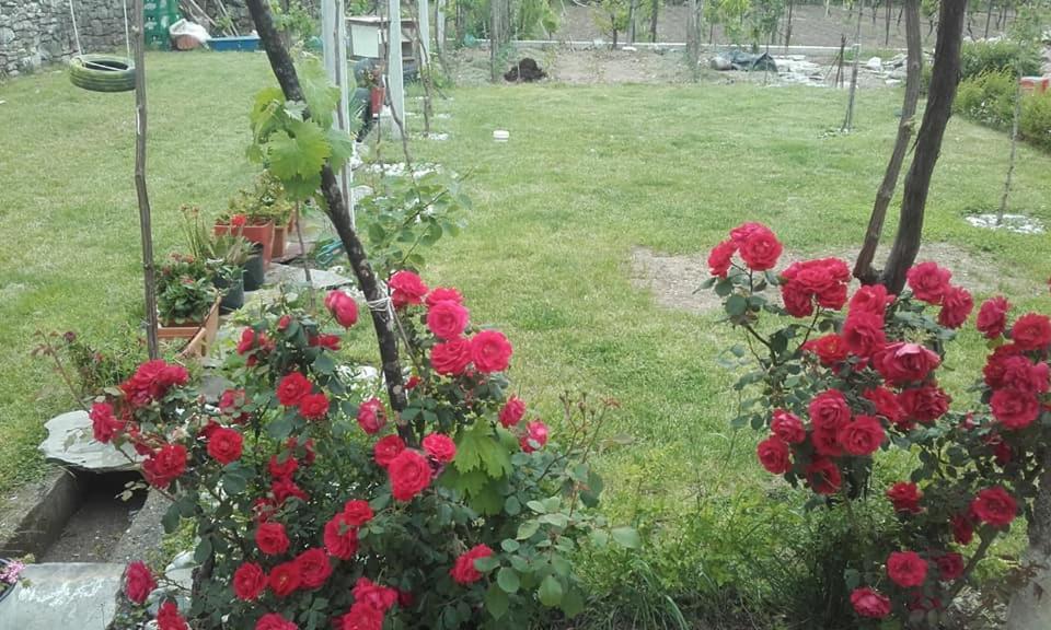Kulla E Vjeter Hotel Koman Kültér fotó